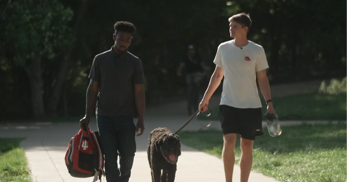 Two men walk with a dog along an outdoor path.